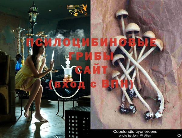 кокаин колумбия Бугульма