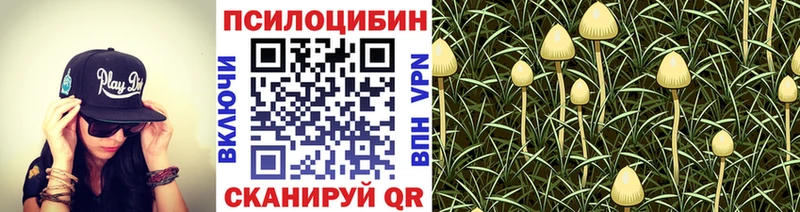 Галлюциногенные грибы GOLDEN TEACHER  наркотики  Льгов 
